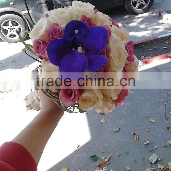 New Sale Different Shape Fresh Mini Colorful Rose Flower Ball With 30cm 40cm photo-5