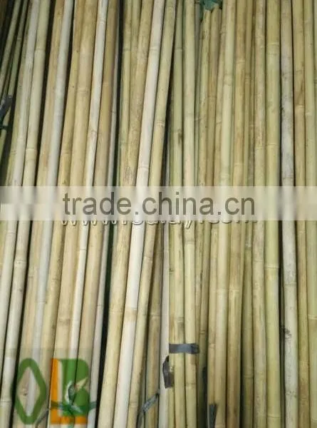 Different Sizes Tonkin Bamboo Stakes/poles/canes for Agriculture photo-5