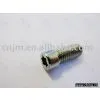 Non-standard Screw