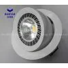 Single 38 W LED Trunk Light