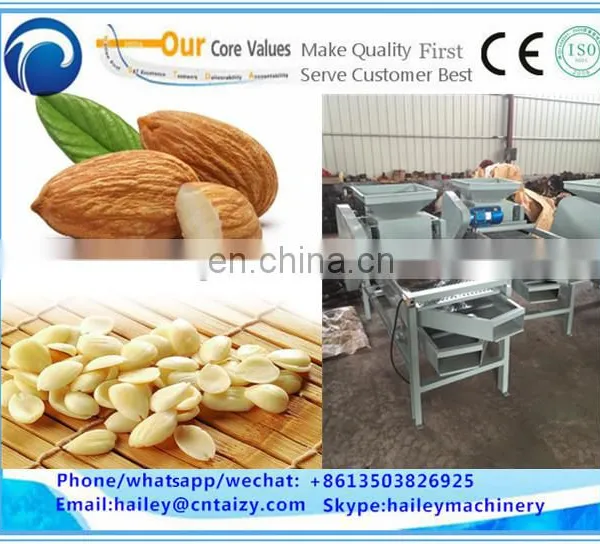 500kg/h Kernel Shell Separator Machine Almond Separartor Palm Kernel Shell photo-4