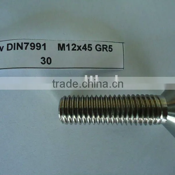 Titanium Fastener