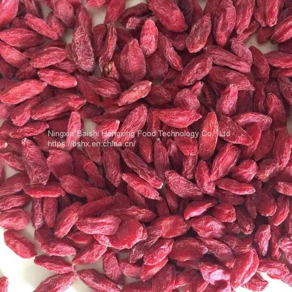 organic dried fruit goji berry