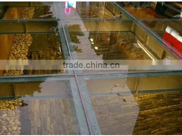 Anti-slip Glass/Anti-skid Glass photo-5