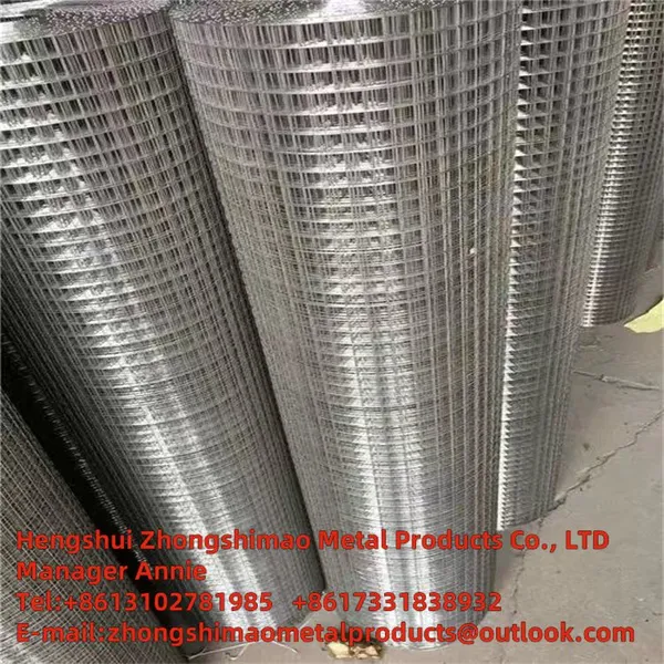 Galvanized Wire Mesh  photo-5