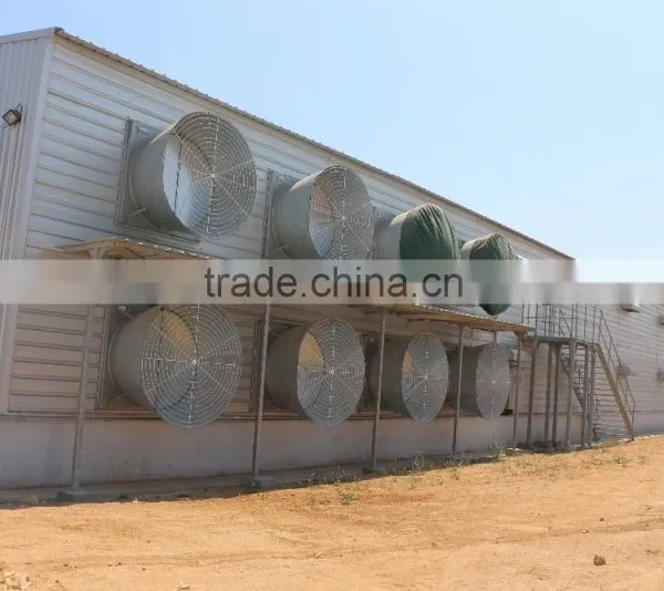 Light Steel Prefab Farm House for Chicken photo-4