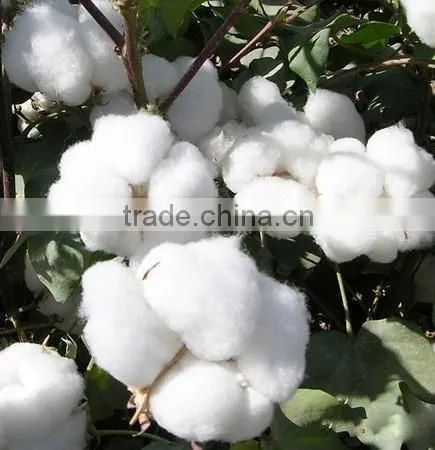 New Design Farm Use Cotton Picking Machine/cotton Picker photo-6