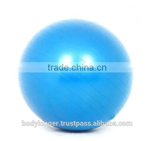 Gym Ball Swiss Ball/ Gym Equipment/ Rack
