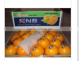 Investment Opportunity in Kino Orange Mandarin Business ( Naqshbandi Enterprises Pakistan )