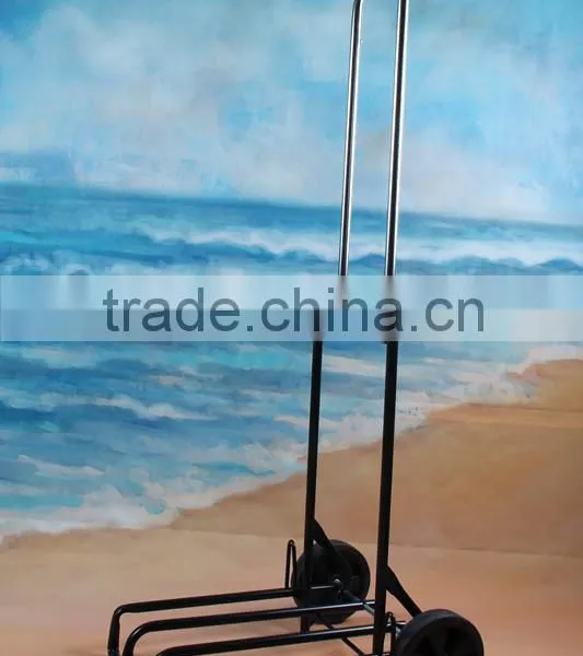Remote Control Golf Cart