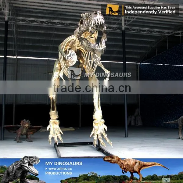 MY Dino-O08 Life Size Fiberglass Dinosaur Skeleton Decoration photo-5