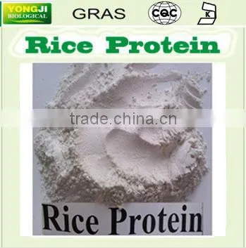 Rice Protein 100 Mesh for Baby Food