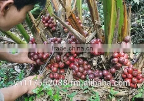 Vietnam High Quality Black Cardamom photo-5