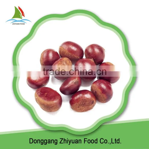 China New Crop Peeled Chestnut Price per kg for Sale photo-4