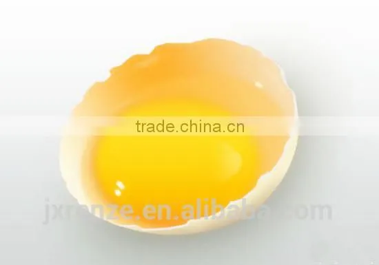 Top Quality Egg Yolk Powder