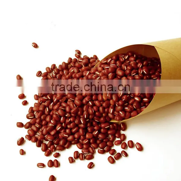 2016 Chinese Good Price China Factory Organic Dark Red Kidney Beans for Sale