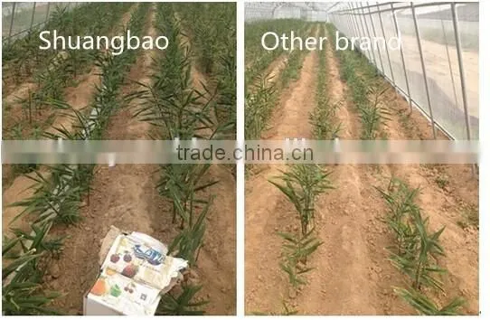 Excellent Liquid Fertilizer Manufacturer in China photo-6