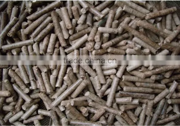 Sheep Feed Pellet Machine, Poultry Feed Making Machine, Pellet Machine of Animal Feed photo-5