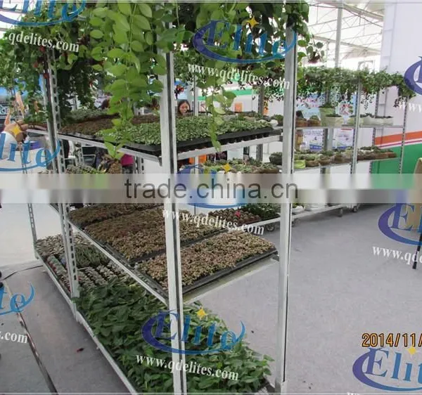334 Glasshouse Trolley photo-3