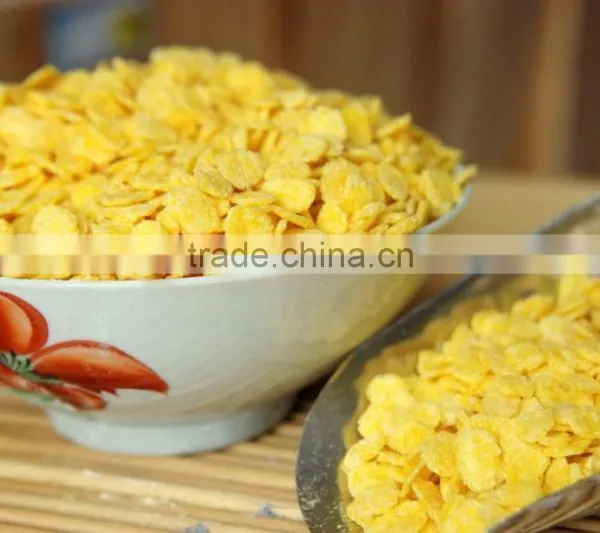 Manufacture Corn Flakes Production Machine Line photo-6