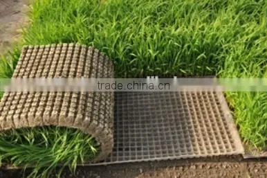 Plastic Rice Seed Growing Tray / Rice Seedling Tray/ Paddy Nursery Tray photo-4