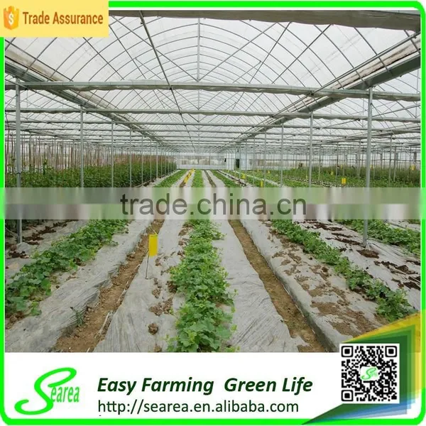 Used Galanized Steel Pipe Greenhouse for Sale photo-3