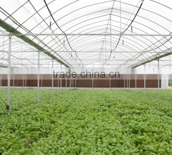 Industrial Size Hot Sale Commercial Glass Greenhouse for Vegetables photo-2
