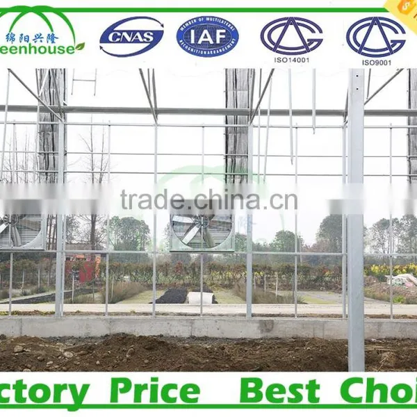Commercial Greenhouse Supplier for Polycarbonate Sheet photo-4