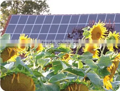 Bestsun High Quality 5000w Solar Powered Led Panel Simple Fashion Products photo-4