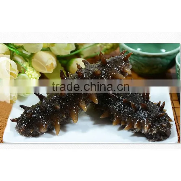 Sugar-Free Sea Cucumber Type photo-3