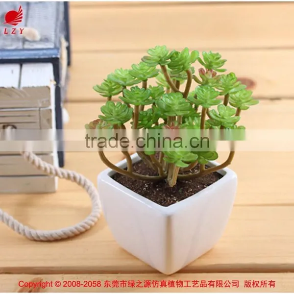 Artificial Succulent Plants Mini Artificial Plants Potted Artificial Mini Succulent Plants photo-3