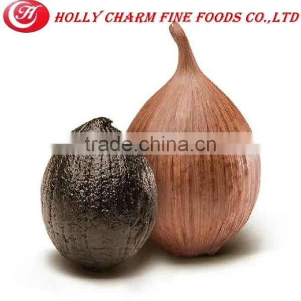 Wholesale Normal Black Garlic Price/ Black Garlic photo-4