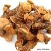 Sell Galangal