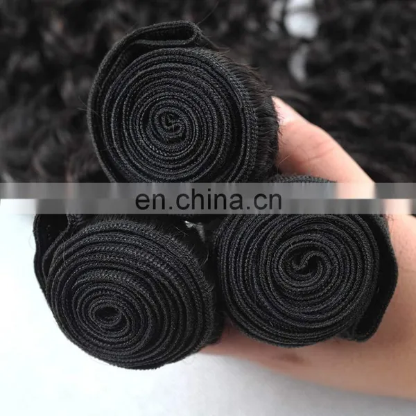 Virgin Mongolian Kinky Curly Hair Mink Brazilian Hair photo-4