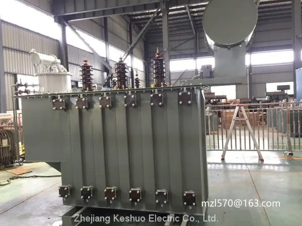 5500kva Oil Immersed Transformer (up to 136kv, 180MVA) photo-3