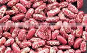 Offer Red Speckled Kidney White Beans Black Beans