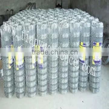 Hot Sale Welded Wire Mesh Fence photo-4