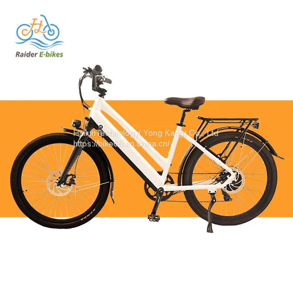 Professinal Lady City Electric Bike Super Quality CE ROHS Certificated