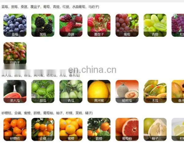Fruit Vegetable Belt Juice Processing Machine photo-5