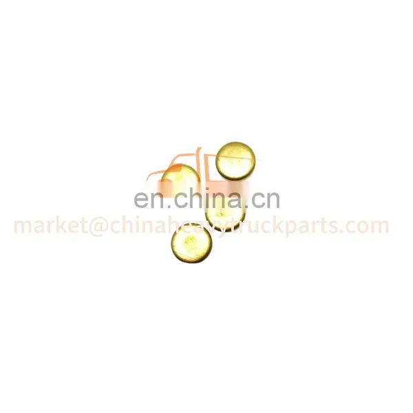 Foton Auman/Aumark/Miler/Land Pioneer Weichai Engine Gearbox Zf/Fast Truck Spare Parts 90003989294 Bowl Shaped Plug photo-2