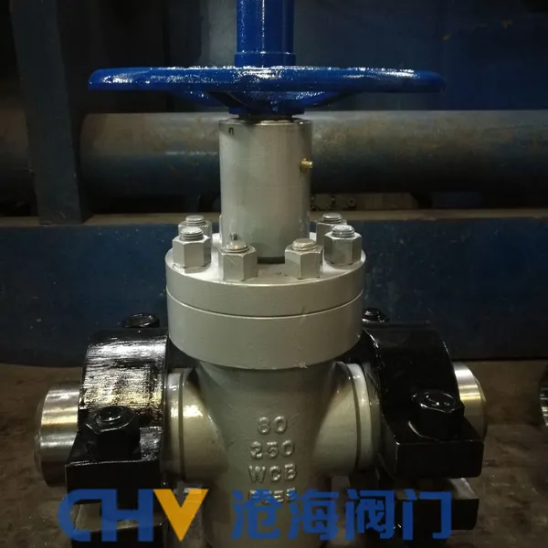 High Pressure Flange Flat Gate Valve Z43Y Cang Hai Valve photo-5