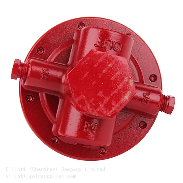 REGO 1588VN Pneumatic LPG Gas Burners Medium High Industrial Pressure DN25 250kg/h Vaporizing Furnace Regulator photo-2