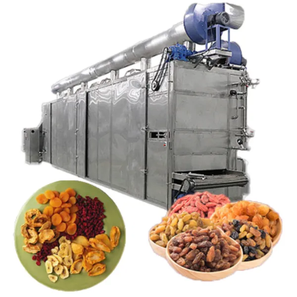 Candied Fruit Vegetable Processing Line Candied Prune Apricot Peach Kumquat Making Machine photo-6