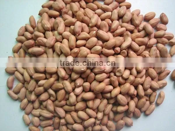 PEANUT KERNELS SIZE:24/28