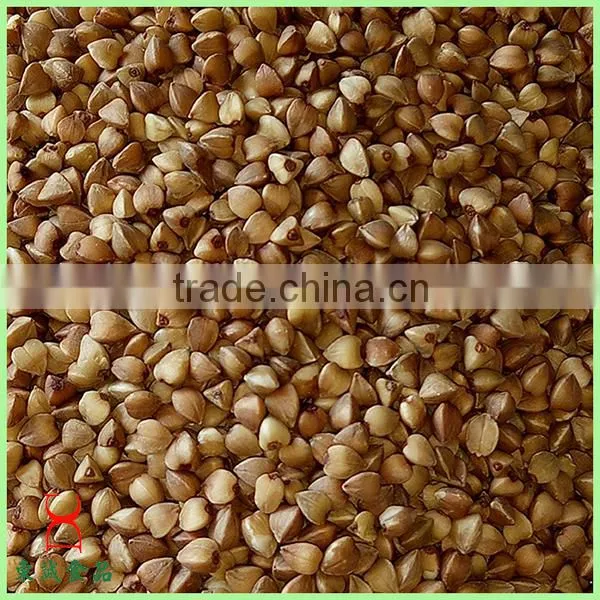 Common Cultivation Type Brown Color Roasted Buckwheat Wholesale