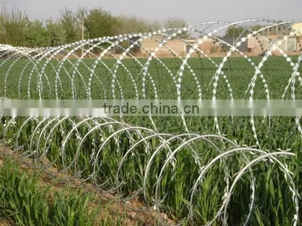 2015 New Design Concertina Razor Wire For Prison photo-3