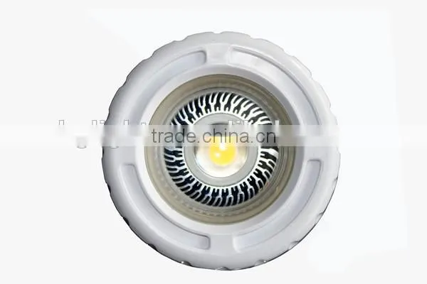 IP68 New Plastic Body 3W Small LED Vinyl Pool Light photo-3