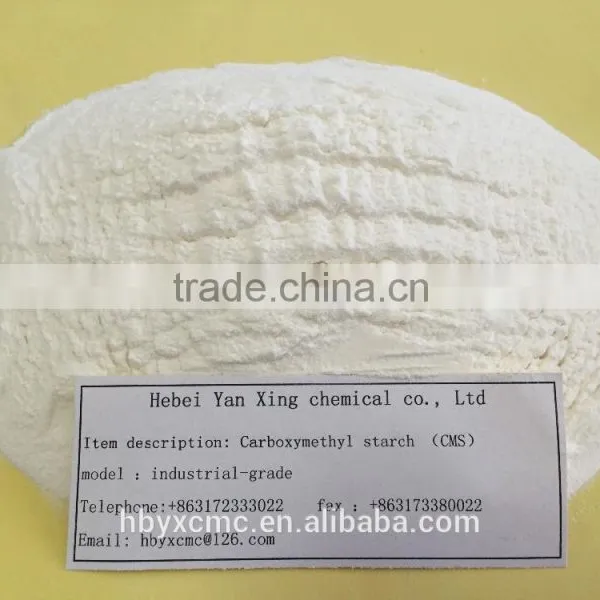 Paint Industry, CMS as a Suspending Agent, Stabilizer, Coating Film Formers photo-3