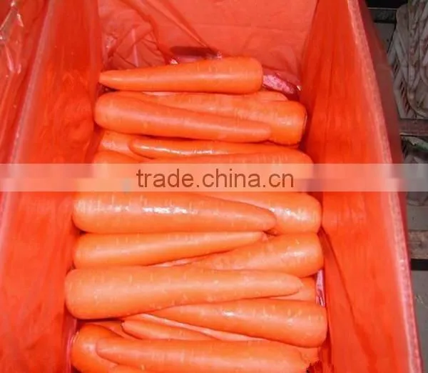 2016 New Crop Fresh Bulk Carrot for Sale photo-3