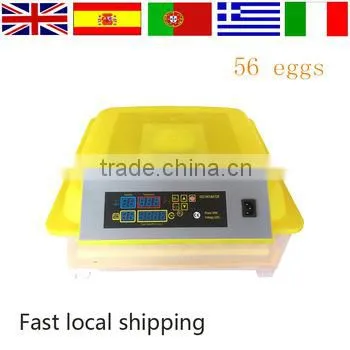 Big promotion full automatic chick master poultry egg incubator for sale HT-56